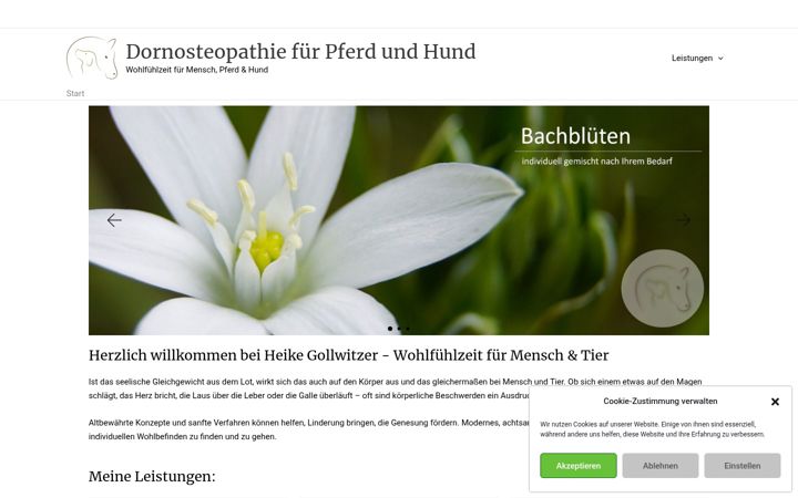 Captura de ecrã de heike-gollwitzer.de