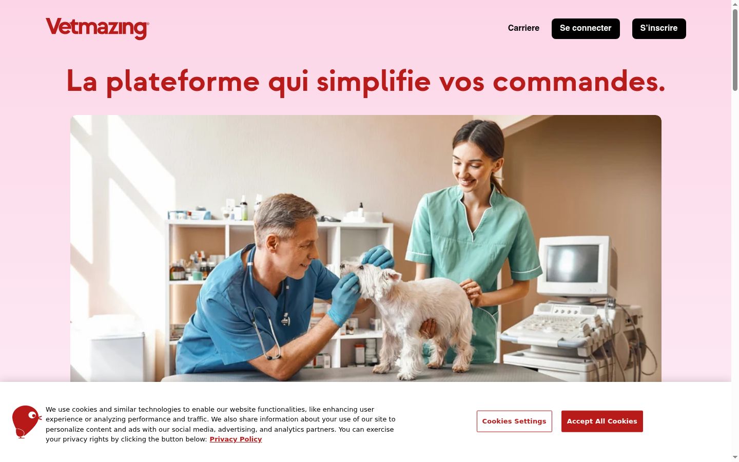 Screenshot van de toestemmingsbanner zoals getoond vóór enige interactie