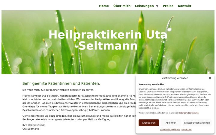 Screenshot του heilpraktikerin-seltmann.de