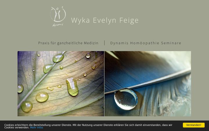 Screenshot of heilung-durch-homoeopathie.com