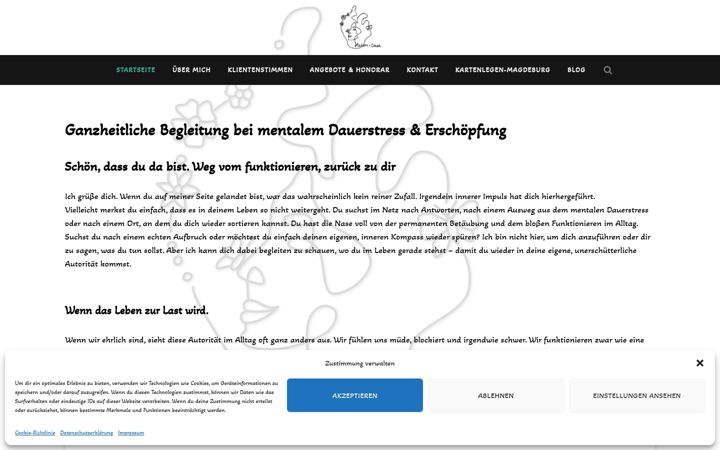 Skærmbillede af heim-care.de