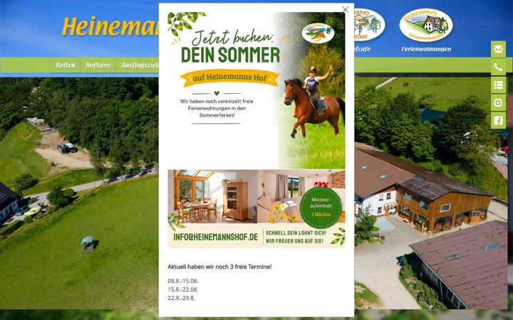 Screenshot of heinemannshof.de