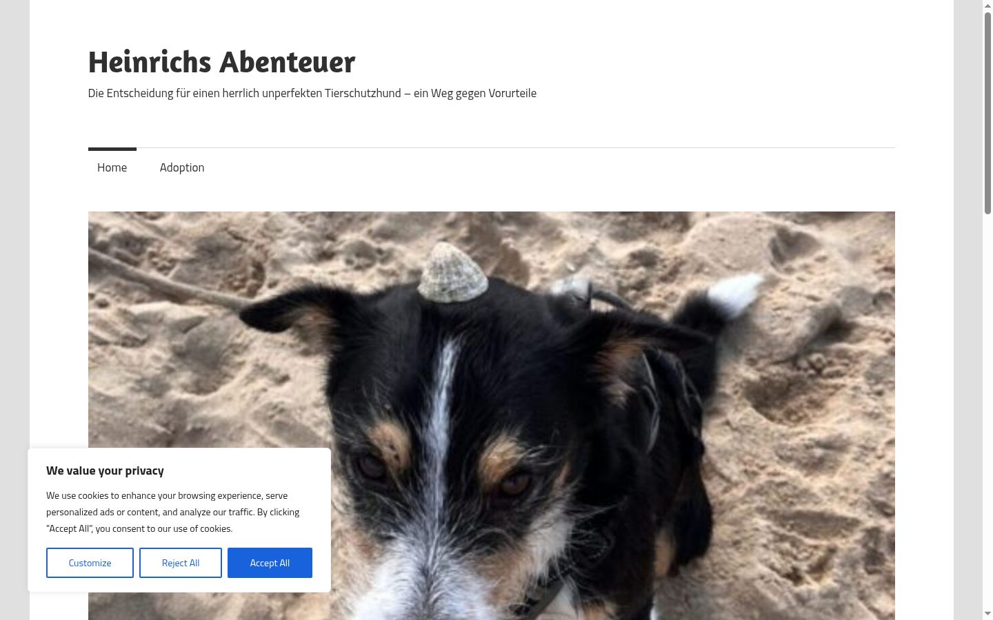 Screenshot του banner συγκατάθεσης που εμφανίστηκε πριν από οποιαδήποτε αλληλεπίδραση