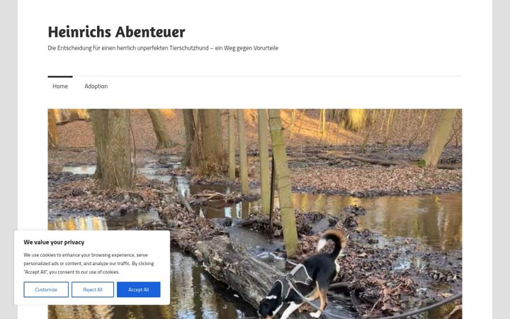 Screenshot of heinrichs-abenteuer.de