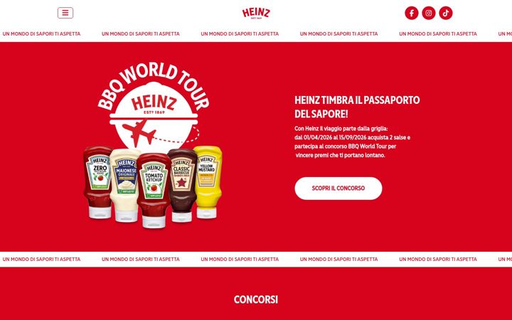 Screenshot of heinzconcorsi.it