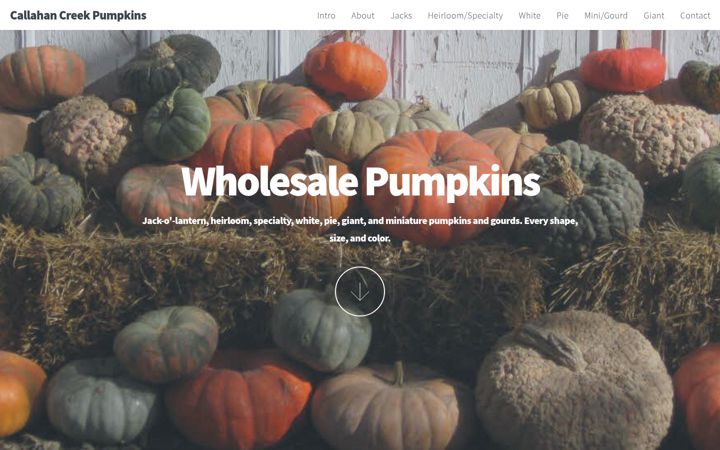 Screenshot of heirloompumpkin.com