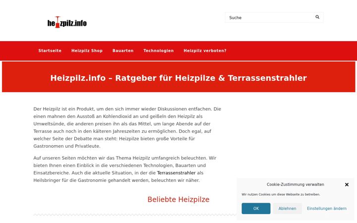 Screenshot of heizpilz.info
