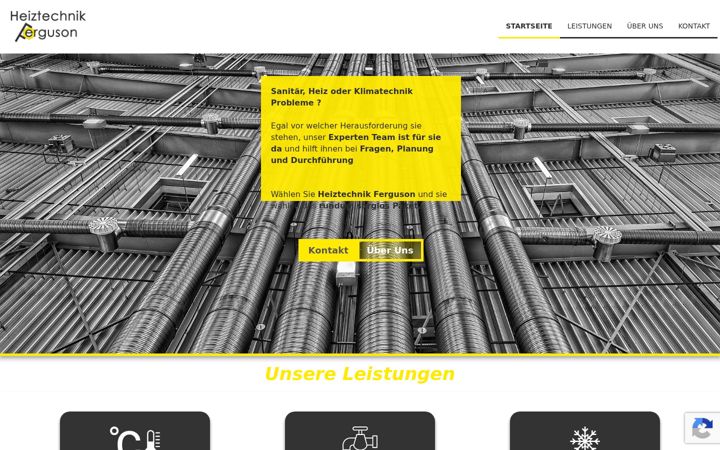 Screenshot of heiztechnik-ferguson.de