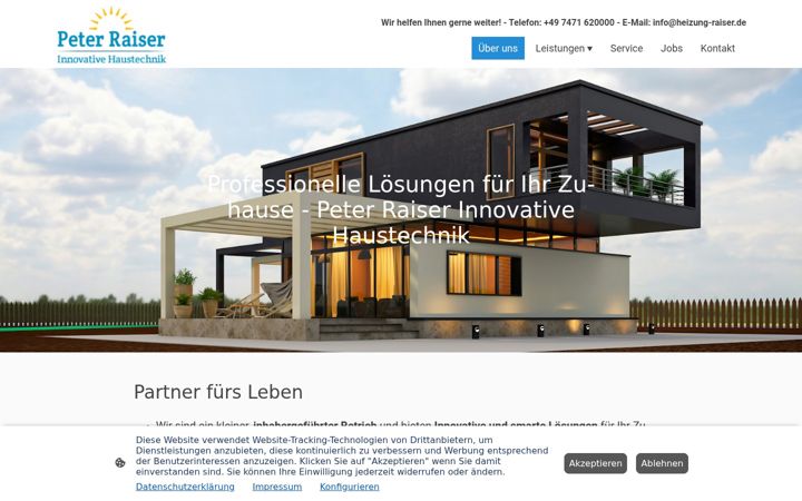 Screenshot of heizung-raiser.de