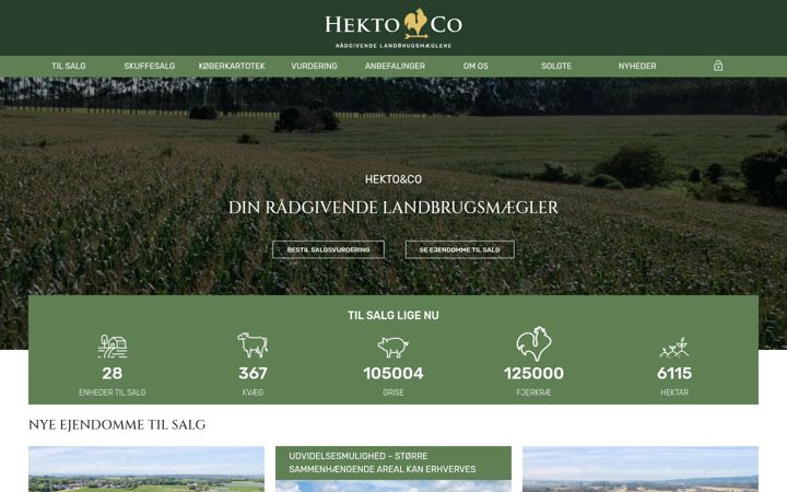Screenshot of hekto-co.dk
