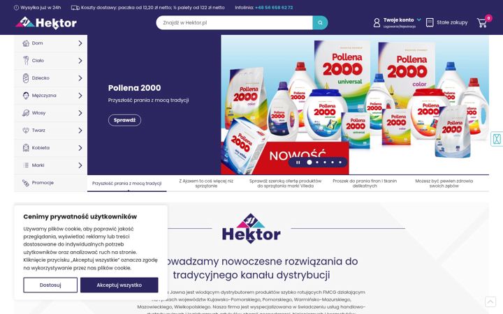 Screenshot of hektor.pl