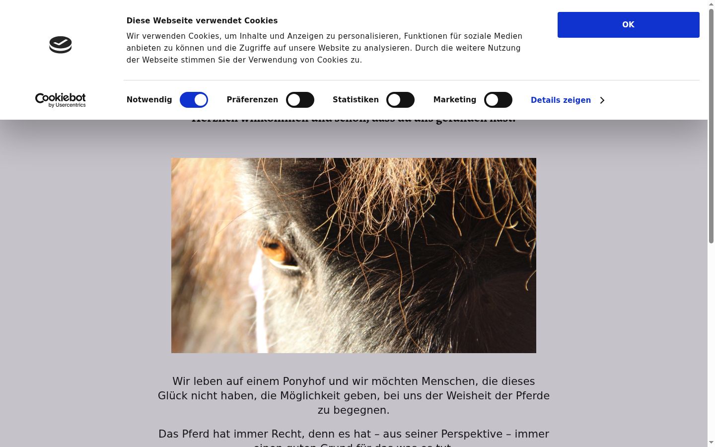 Screenshot del banner di consenso mostrato prima di qualsiasi interazione