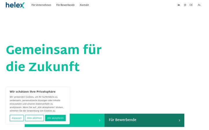 Screenshot of helex.at