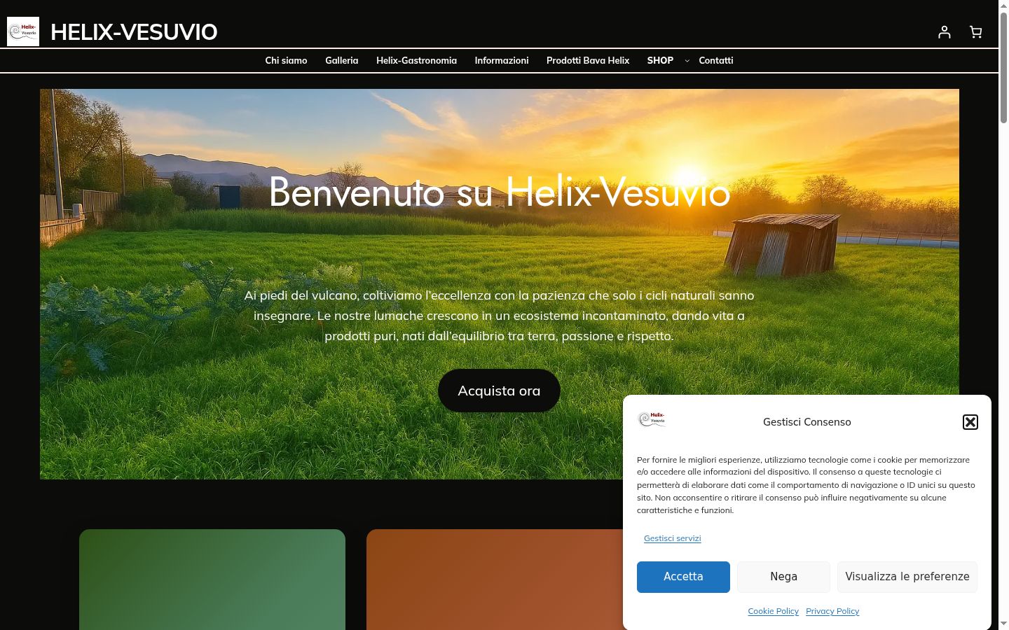 Sutikimo reklamjuostės, rodytos prieš bet kokią sąveiką, ekrano kopija