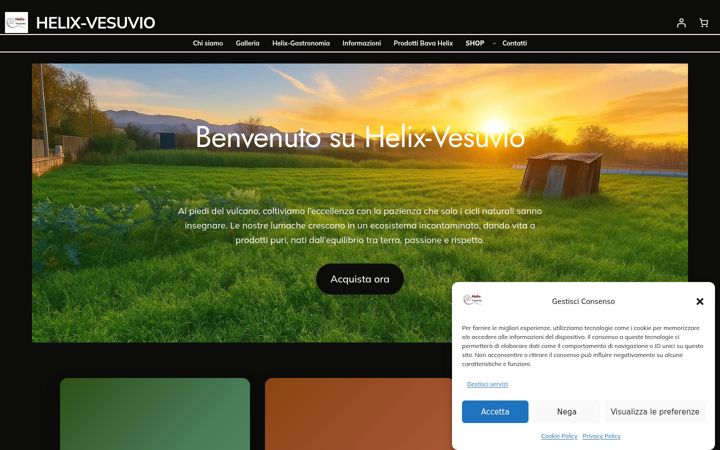 Screenshot of helix-vesuvio.it