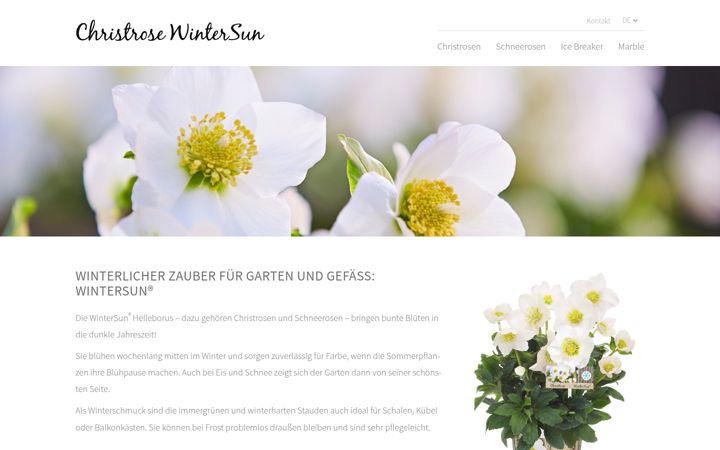 Screenshot of helleborus-wintersun.de