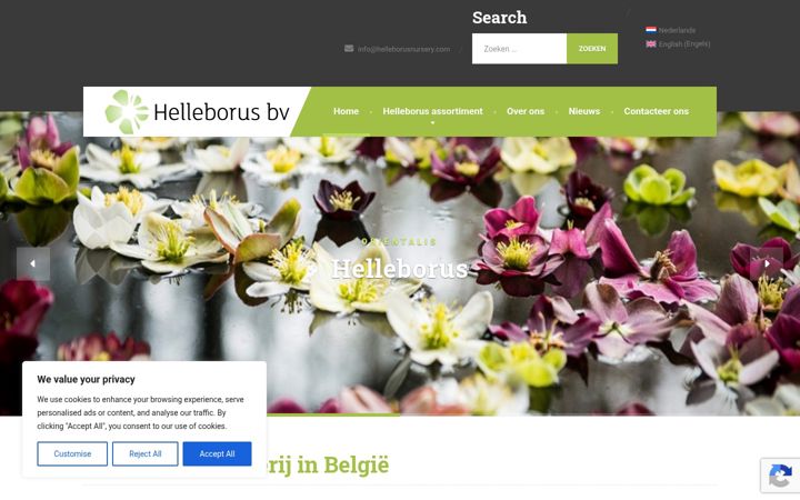 Screenshot of helleborusnursery.com