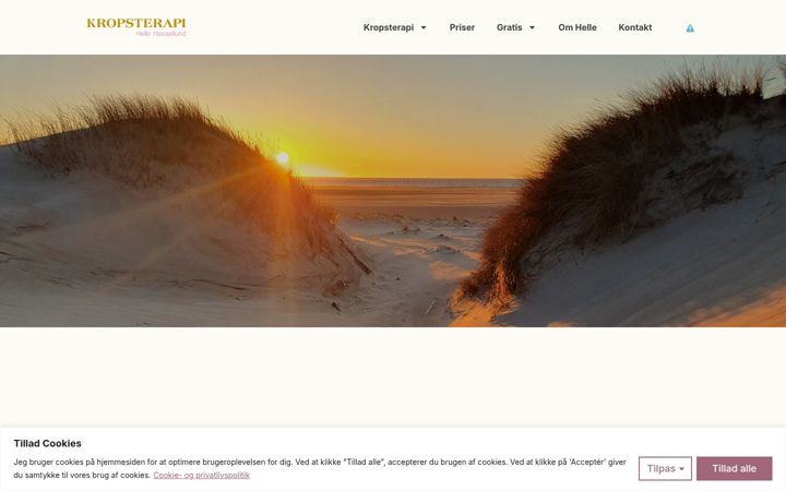Screenshot of hellehessellund.dk