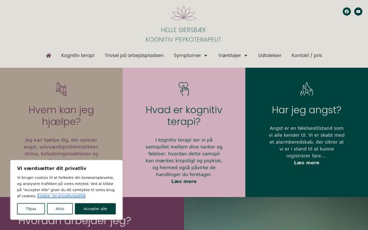 Screenshot of hellesiersbaek.dk