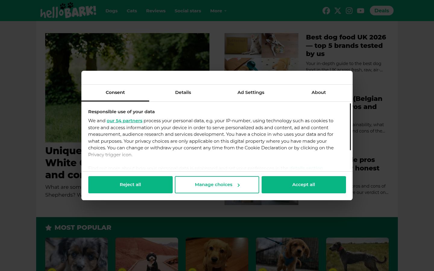 Screenshot del banner di consenso mostrato prima di qualsiasi interazione