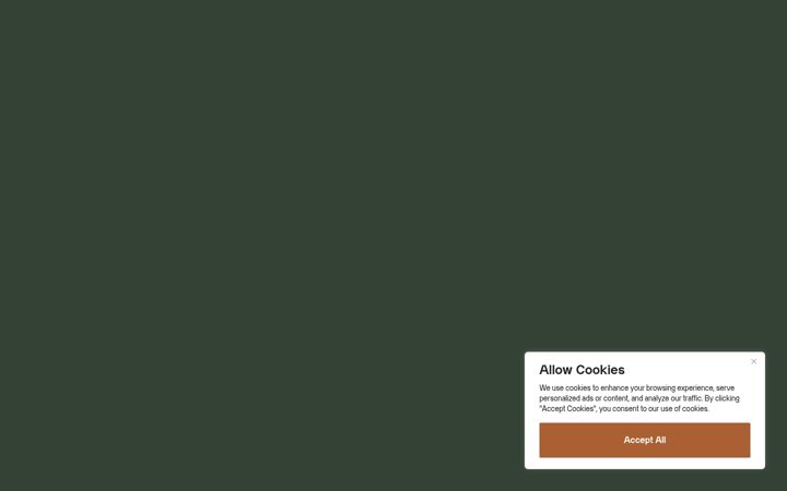 Screenshot of helloholt.com
