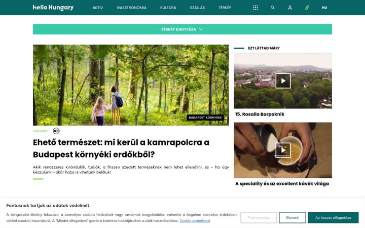 Screenshot of hellohungary.hu