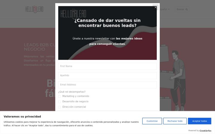Screenshot of hellomrlead.com