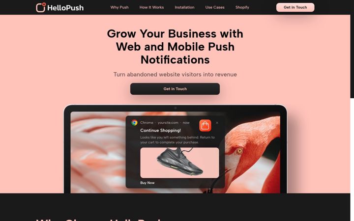 Captură de ecran a hellopush.io