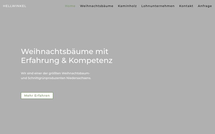 Screenshot του hellwinkel-bassel.de