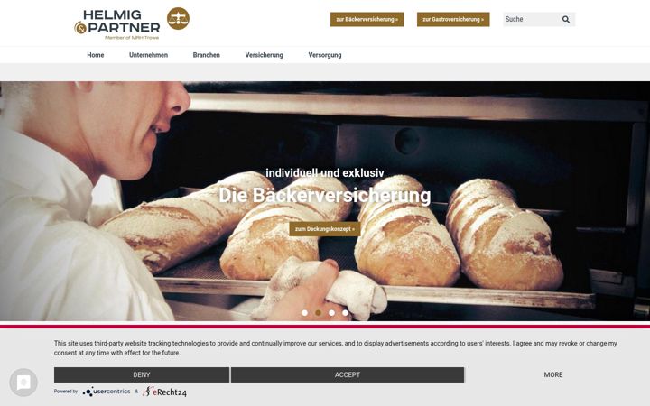 Screenshot of helmig-partner.com