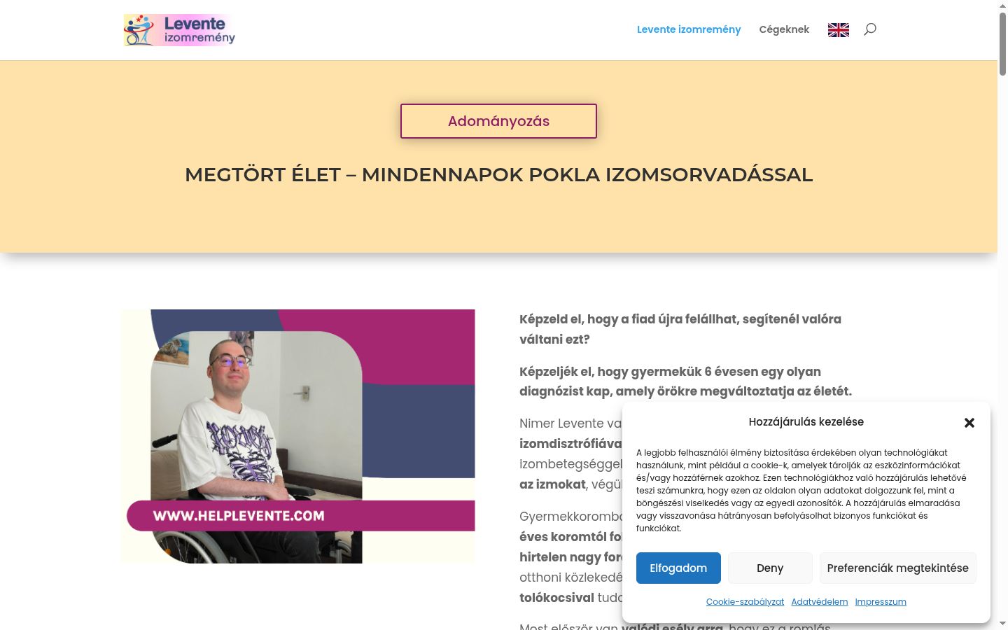 Screenshot des Einwilligungsbanners vor jeglicher Interaktion