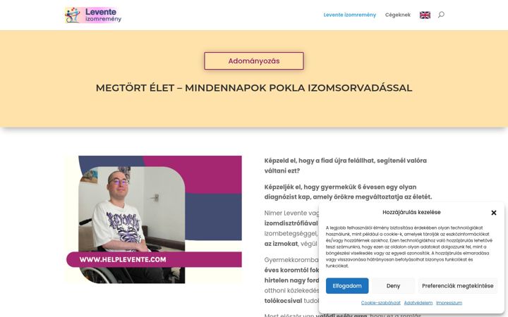 Screenshot of helplevente.com