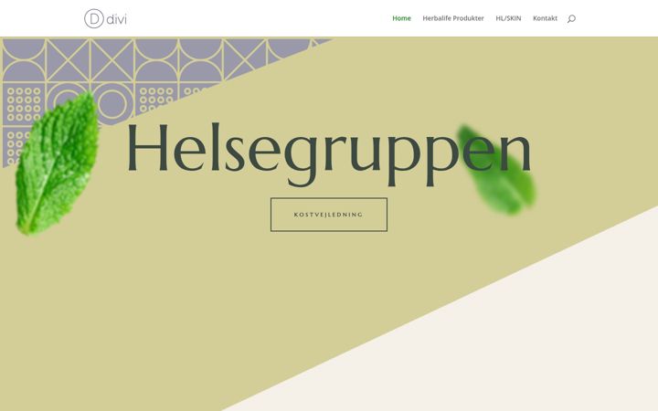 Screenshot of helsegruppen.dk