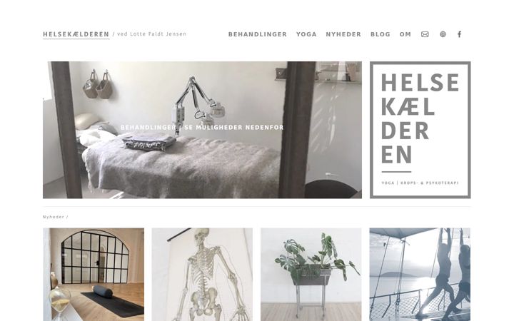 Screenshot of helsekaelderen.dk