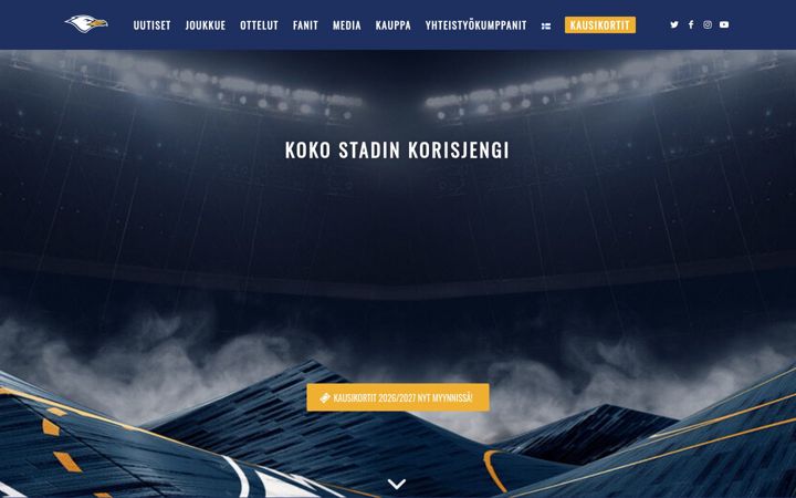 Screenshot of helsinkiseagulls.com