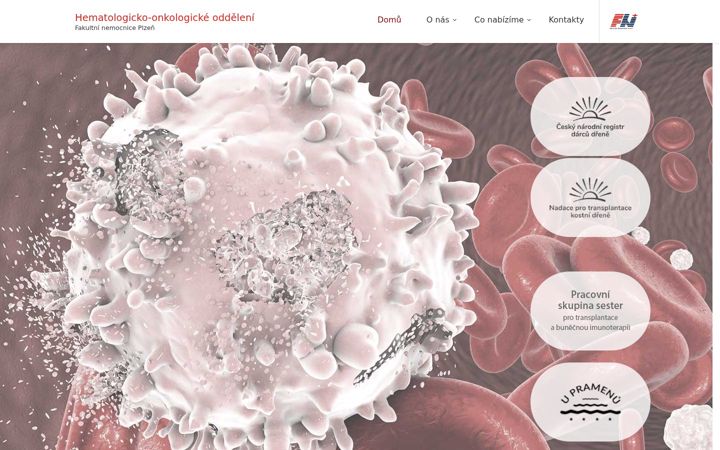 Screenshot ta' hematologieonkologie.cz