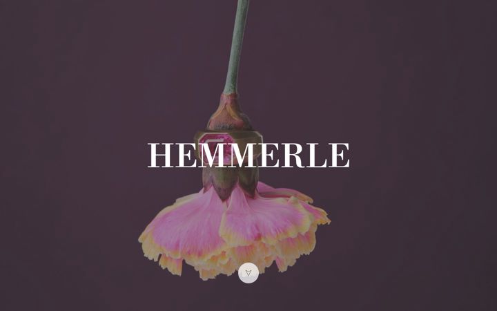 Screenshot of hemmerle.com
