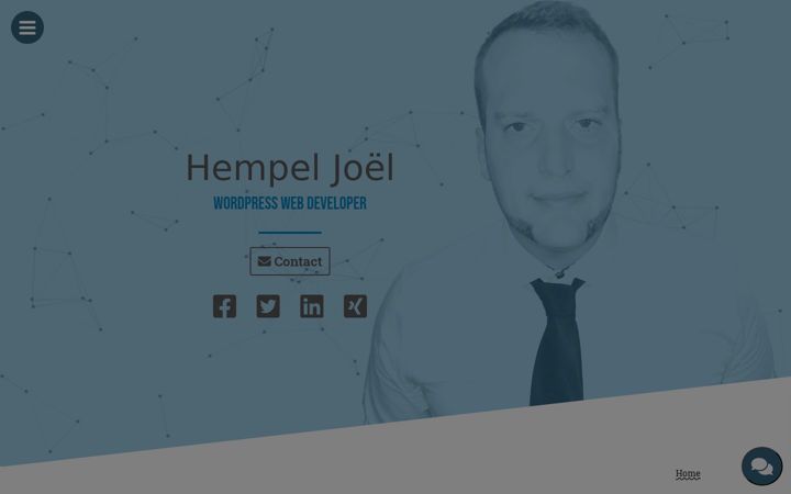 Screenshot of hempel-joel.at