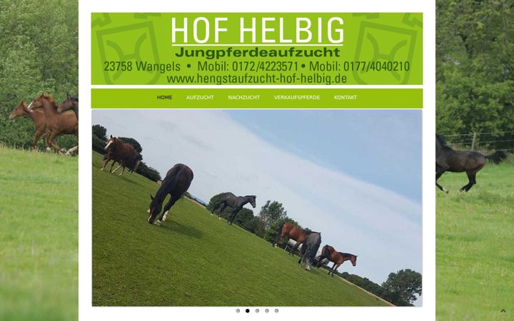Screenshot of hengstaufzucht-hof-helbig.de