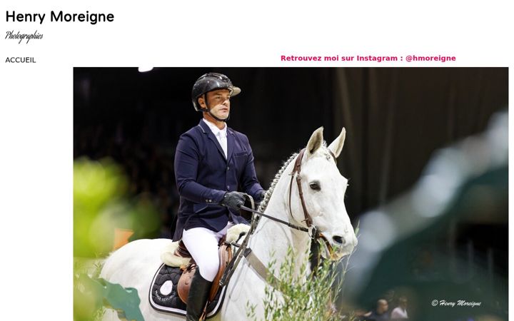 Screenshot of henrymoreigne.com