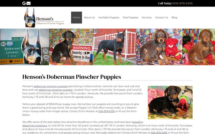 Screenshot of hensonsdobermanpinscherpuppies.com