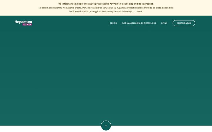 Screenshot van hepactum.ro