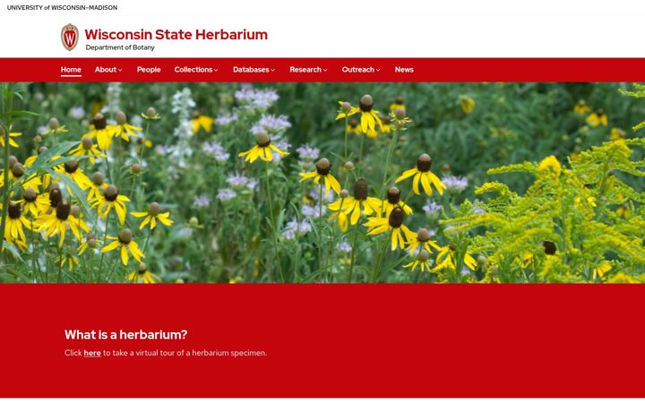 Captură de ecran a herbarium.wisc.edu