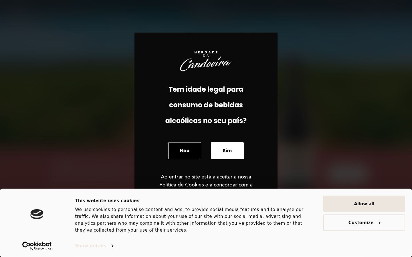 Snímek obrazovky baneru souhlasu zobrazeného před jakoukoli interakcí