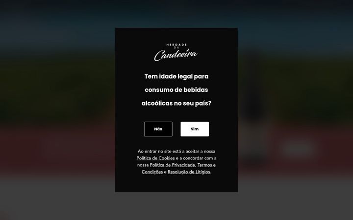 Screenshot of herdadedacandeeira.wine