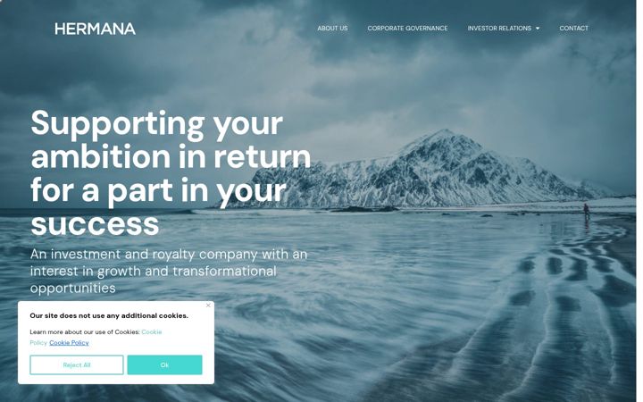 Screenshot of hermanaholding.com