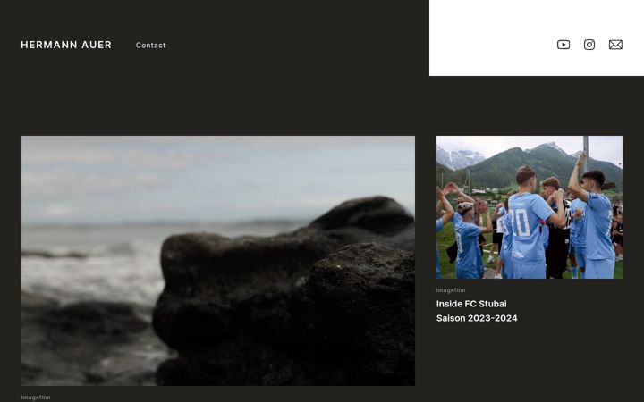 Screenshot of hermannauer.com
