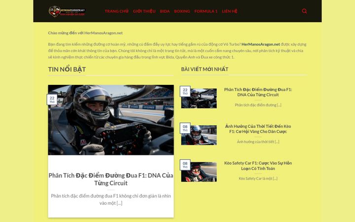 Screenshot of hermanosaragon.net