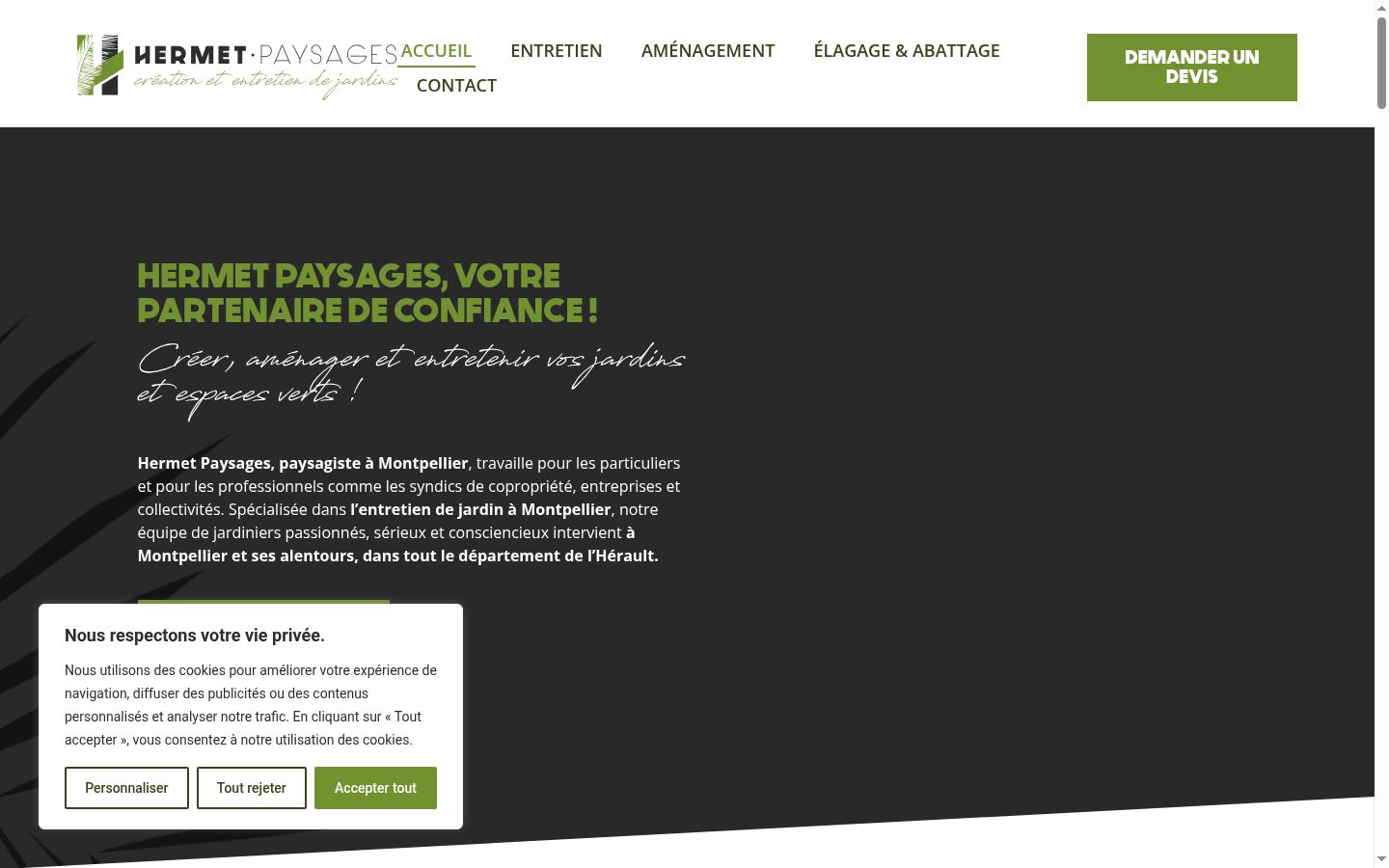 Screenshot of the consent banner shown before any interaction