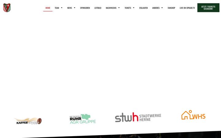 Screenshot of herner-ev.com